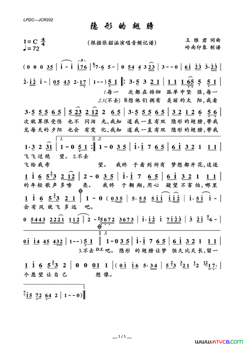 隐形的翅膀简谱-张韶涵演唱-王雅君/王雅君词曲1