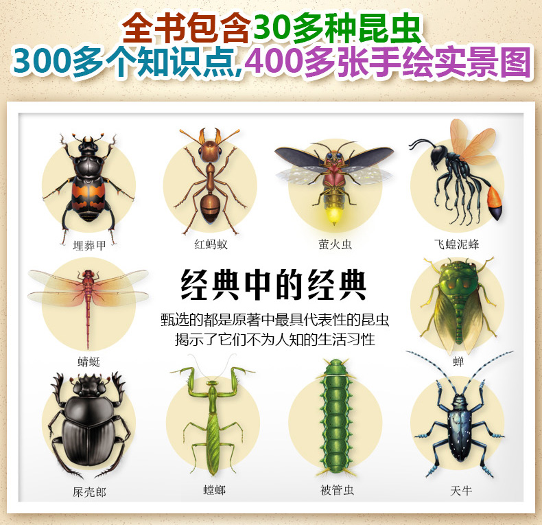 昆虫记科普绘本全套10册 用生命歌唱的蝉 畅销青少年动物科普百科绘本