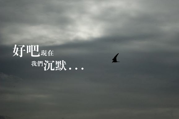 半生已过,余生沉默