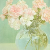 淡雅头像女生_微信头像图片大全