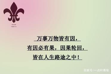 因果轮回,万物使然