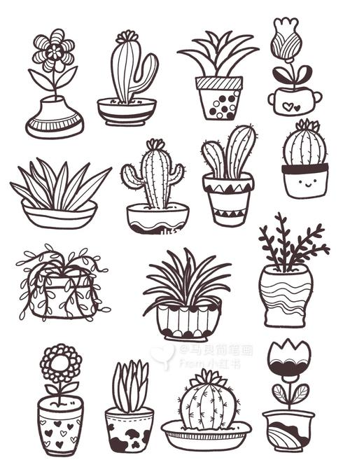 简笔画步骤植物难