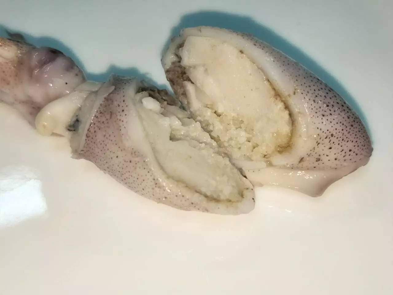 海兔子的功效与作用:养胃健胃,补阳壮阳,补血养血,调