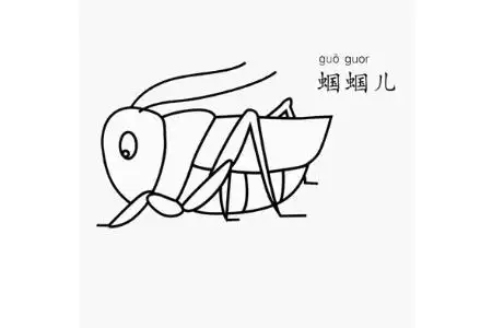 蝈蝈怎么画2022-01-261昆虫简笔画动物简笔画简单的蜻蜓简笔画图片及