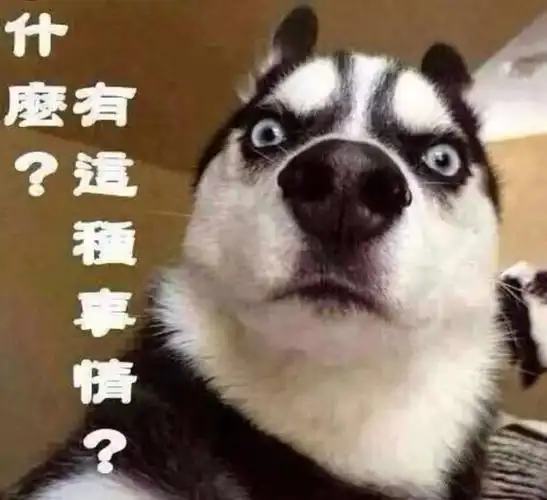 部落国服双线三区燃烧之刃部落幸福的像花儿一样带机