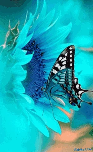 300_488竖版 竖屏gif 动态图 动图