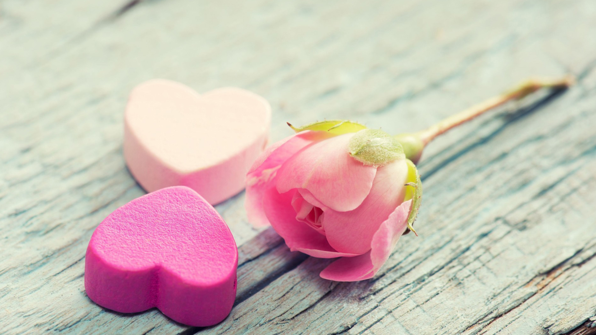 520小清新治愈系静物唯美高清桌面壁纸