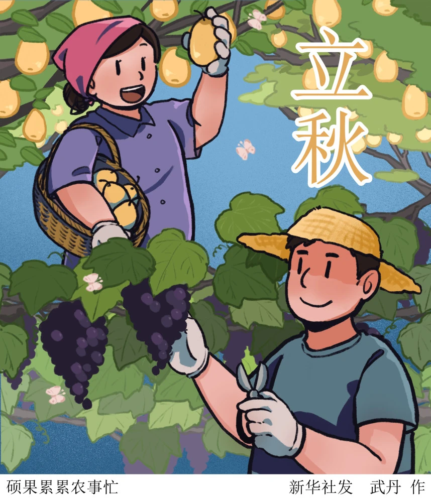 图表插画二十四节气立秋硕果累累农事忙