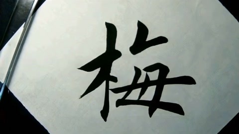 田英章老师楷书例字书写"梅"