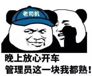 能跟我处对象吗 酱 - 可爱猫咪 gif 动图表情包