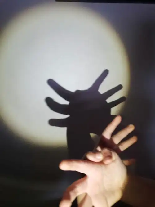 手影子游戏,你会吗?用手变出各种动物和形状,在阳光明媚的日子试试吧!