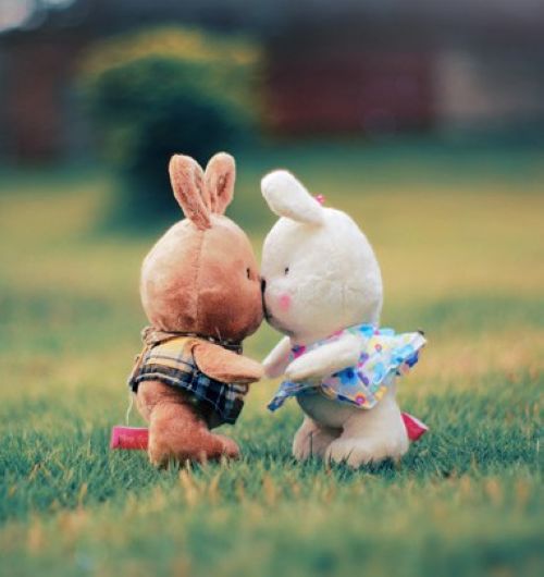 谁能找到这张图的原图,两只兔子娃娃亲嘴的原图