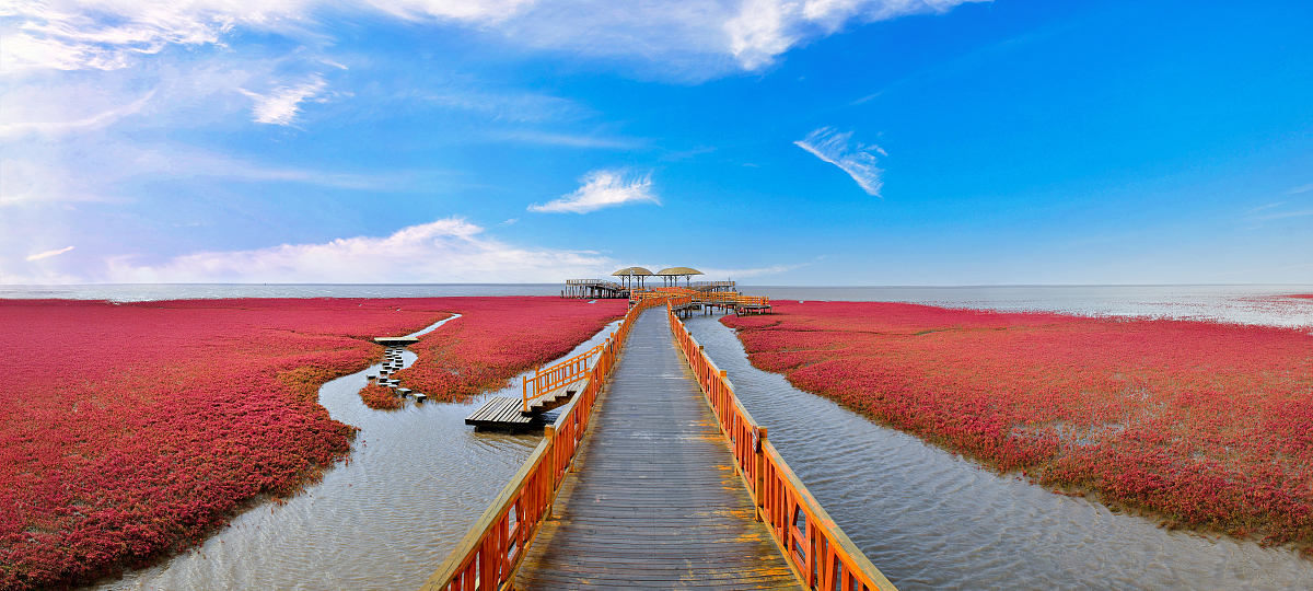 山东东营拥有壮观的自然景观和丰富的人文历史,推荐黄河口生态旅游区