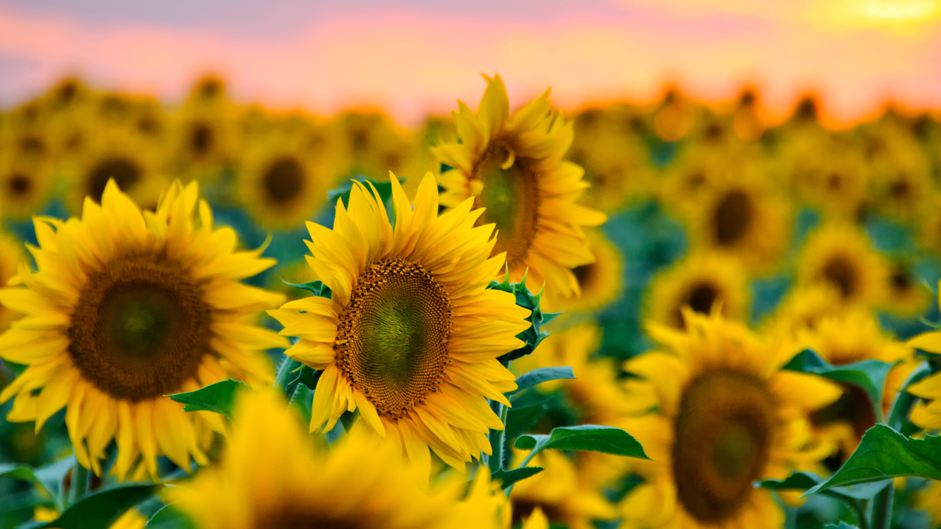 人生是一个不断探索的过程,要打破束缚,勇敢前行