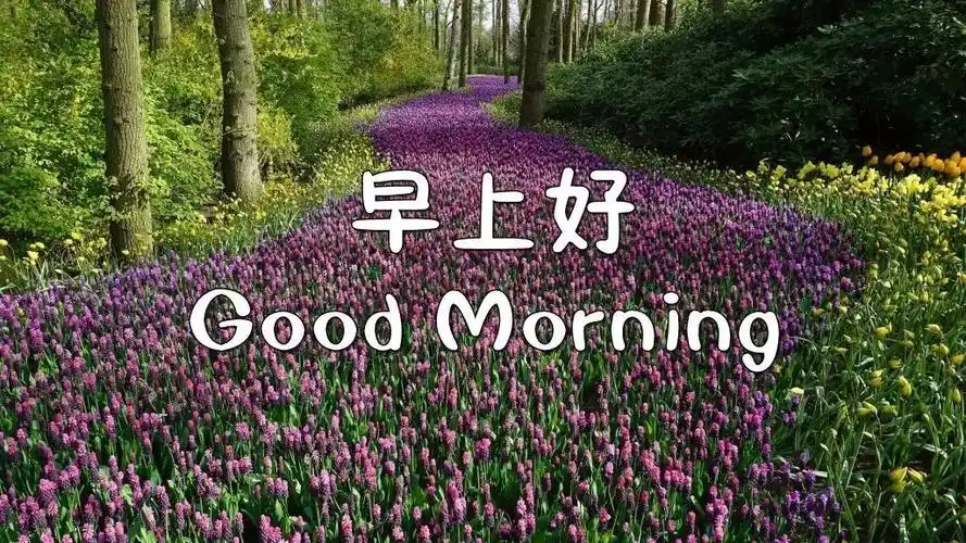 2021夏天最漂亮早上好表情动态图片微信最新早上好祝福动态图片