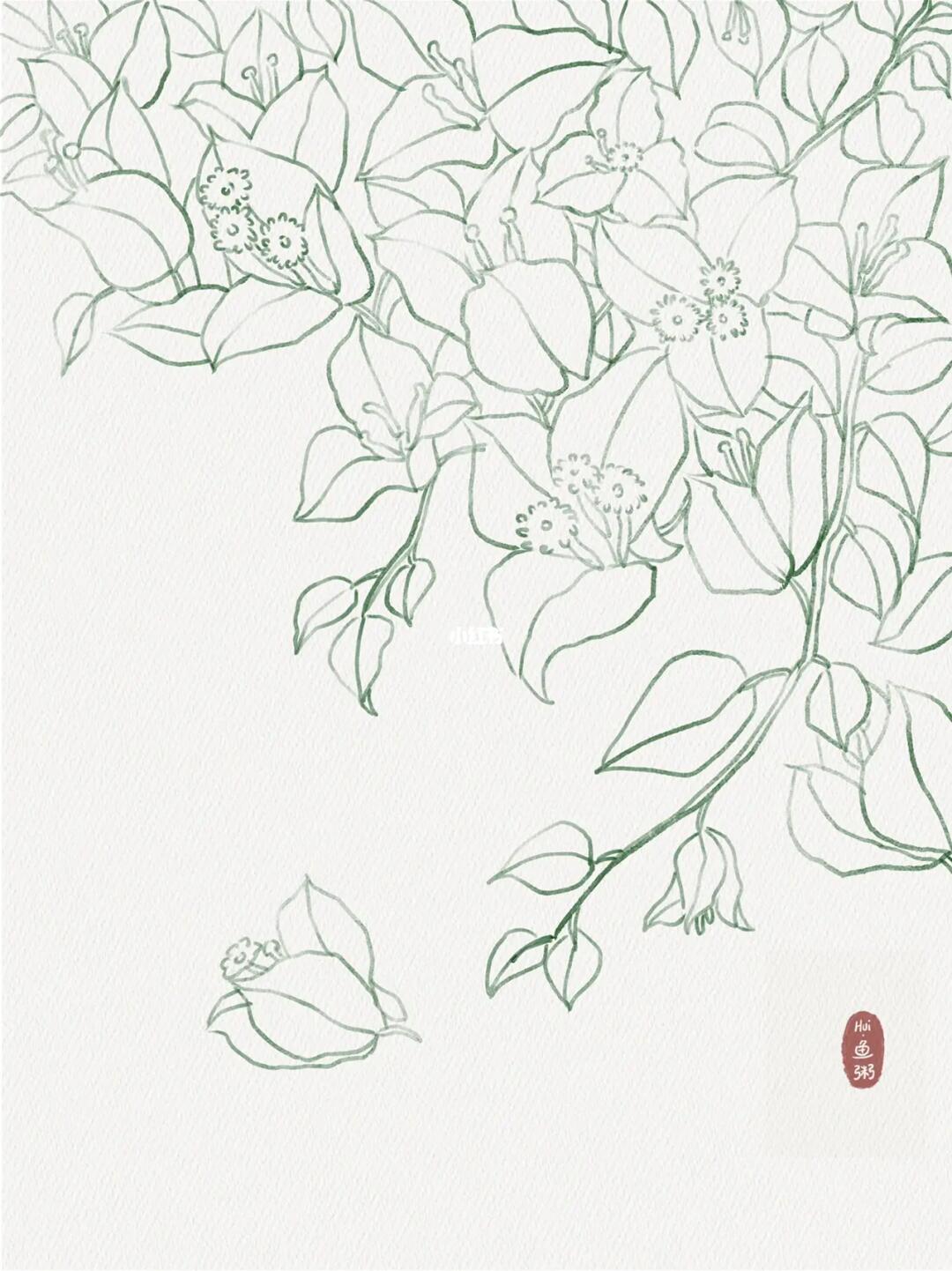 白雪公主三角梅附线稿