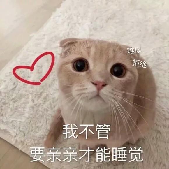 猫咪表情包:敲可爱的表情包大全,撩到小哥哥简简单单呦