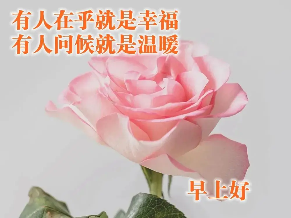 2021年早上好问候语图片表情大全 早上好祝福短句唯美图片