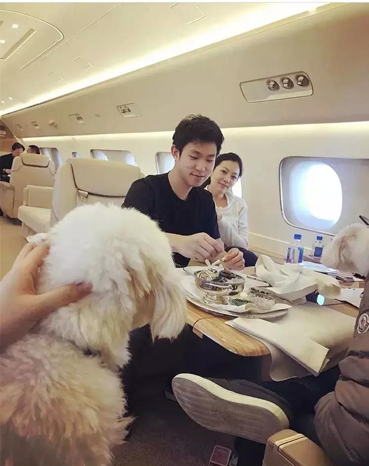 宁泽涛公开恋情上热搜女友家被曝有私人飞机无数宁太太集体失恋了