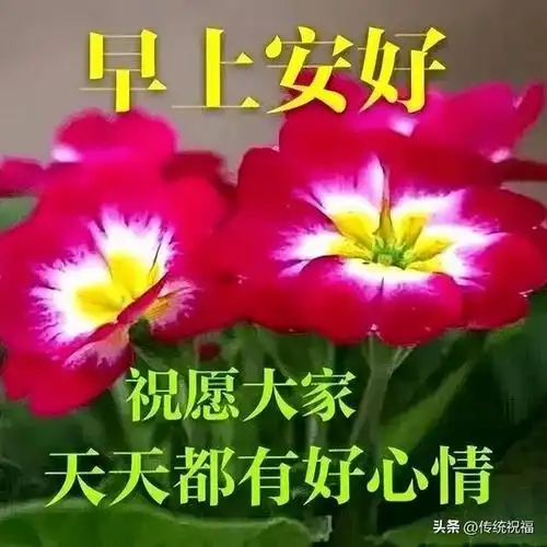 甄选最新早上好表情祝福,甜甜的问候,祝你开心每一天
