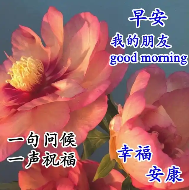 最新早安问候语图片大放送清晨祝福暖心间