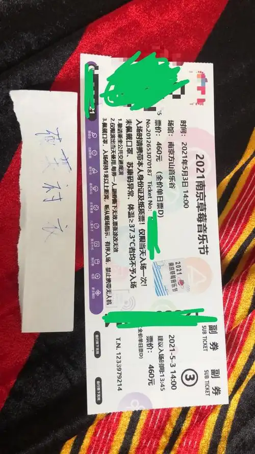 闲置南京草莓音乐节53门票我又来了