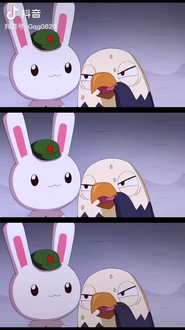 鹰酱严重怀疑兔子造武器是为了打他那年那兔那些事动漫剪辑超燃