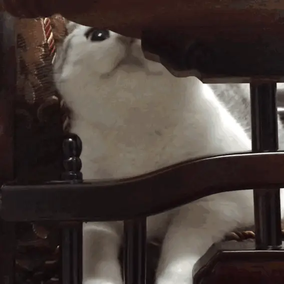 567_567gif 动态图 动图