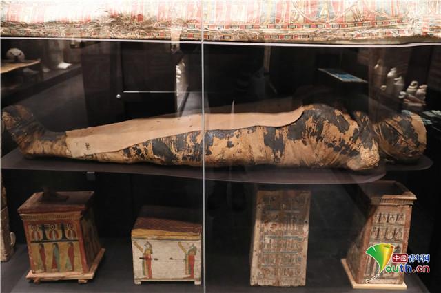 波兰发现世界首具怀孕木乃伊 腹中胎儿7个月