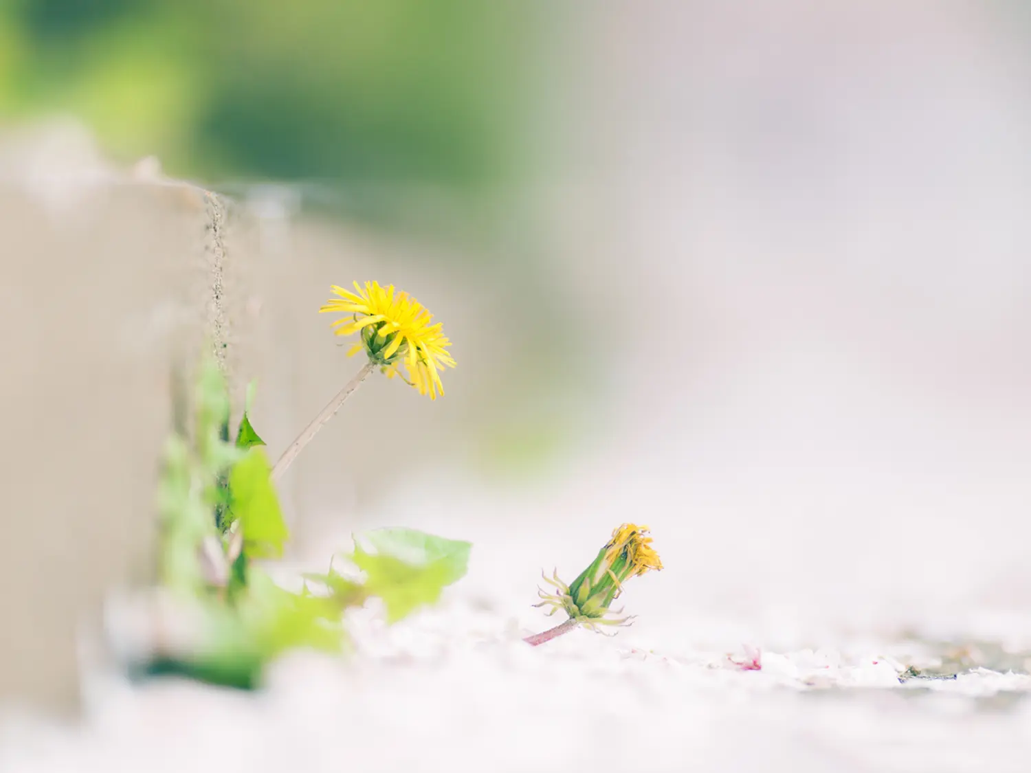 皙活不想一成不变,就要学会改变,才是生活王道