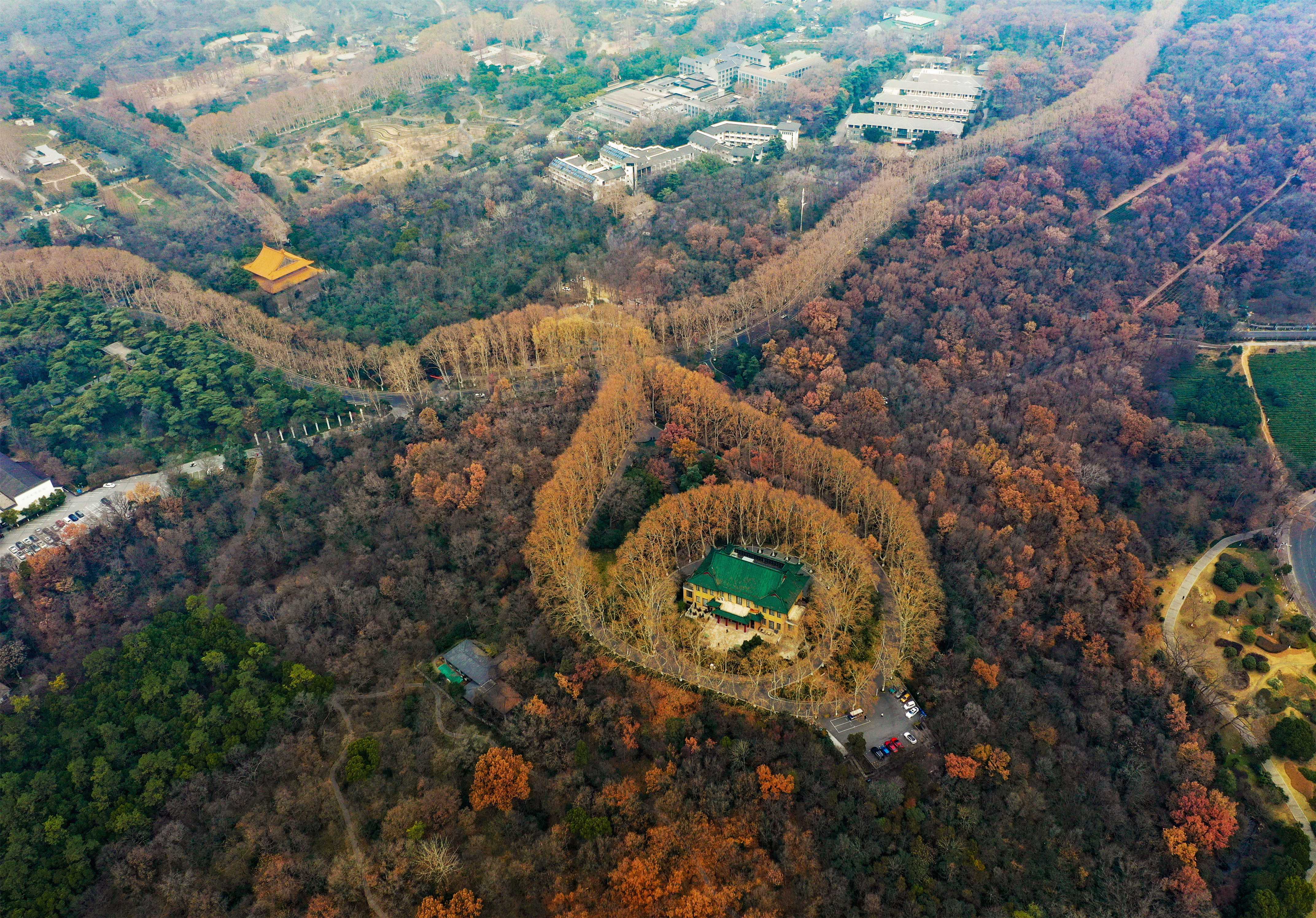 航拍南京紫金山宝石吊坠数千梧桐贯串唯美浪漫