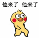 他来了他来了(小黄鸡表情包) - 小黄鸡路过表情包
