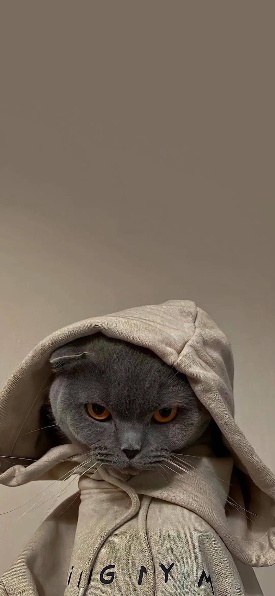 323031313530353437壁纸 | 个性锁屏壁纸好看到爆