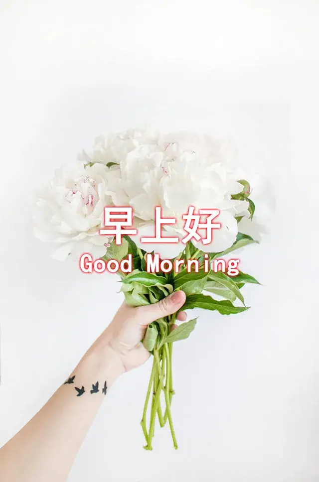 原创清晨最美早上好问候图片带字最新早上好问候祝福图片
