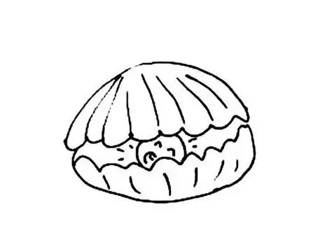 含着珍珠的河蚌简笔画图片儿童画绘画吧-画画