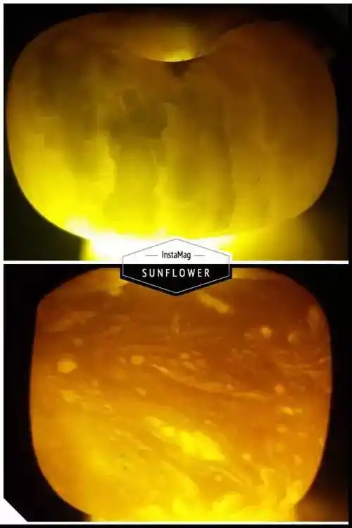 二代蜜蜡气泡多,气泡不规则的分布于整块蜜蜡之中,密集而细小.