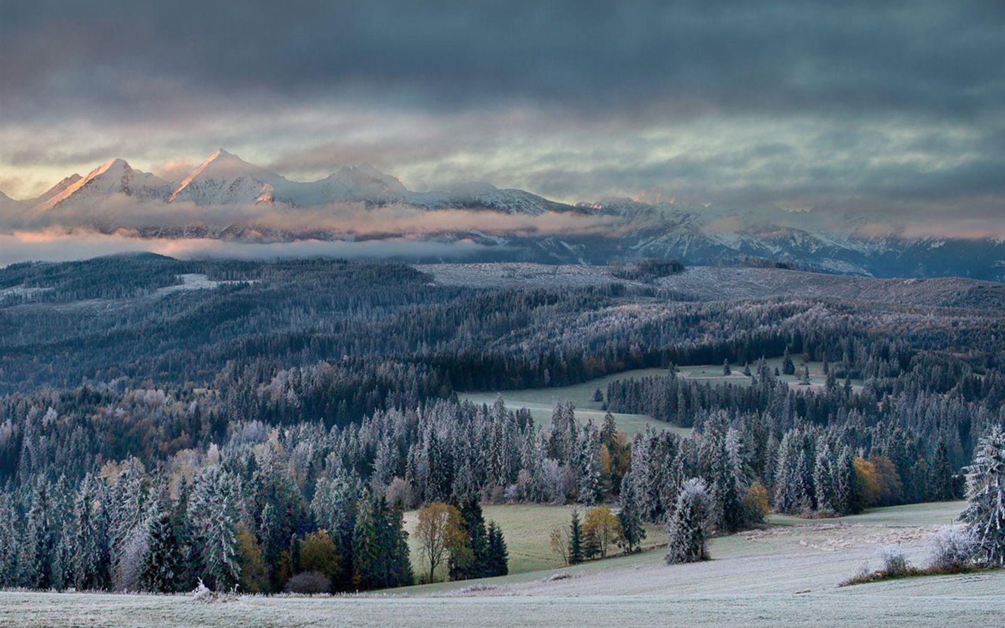 冬天的第一次接触-国家地理杂志照片壁纸 - 1440x900 壁纸 下载