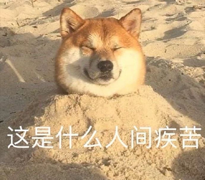 悬着的心终于死了什么意思