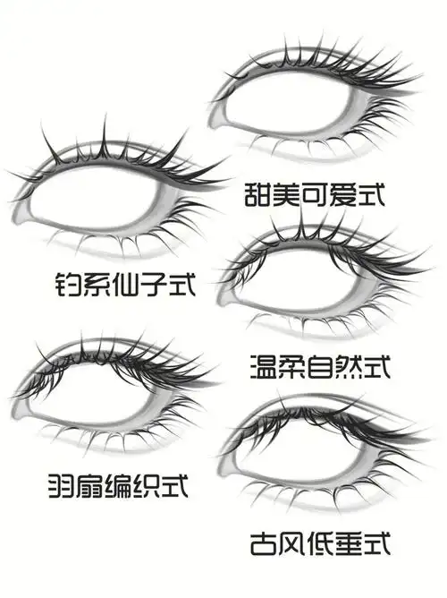 不同类型睫毛画法
