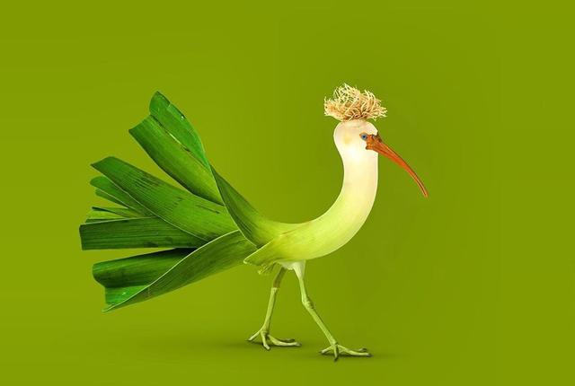 脑洞大开:艺术家用ps的方式,创造出了动物和植物的"结合体"