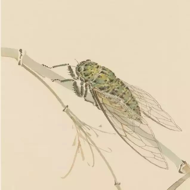 王菂餐英啜露草蟲鱗介冊