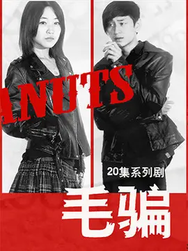 毛骗第一季剧情介绍(1-20全集)大结局_电视剧_电视猫