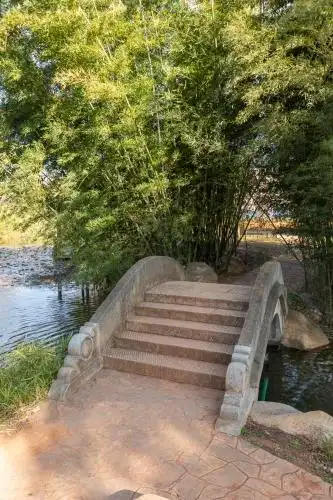 昆明大观公园小桥流水竹林园林景观