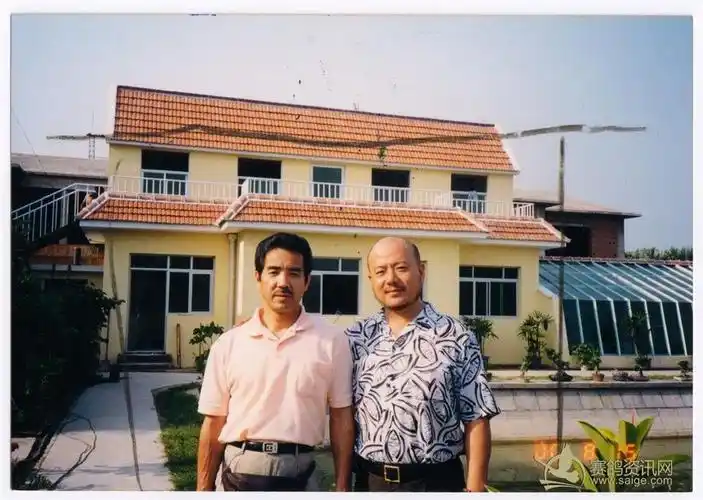 观念超前爱拼敢闯福建八闽鸽业陈舒先生其人其鸽