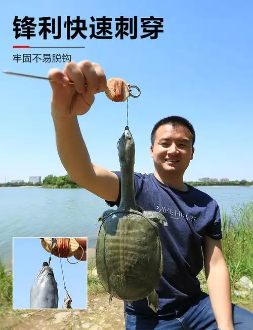 甲鱼钩套装专用钓甲鱼神器全套线组王八钩老鳖钩黄鳝钩鲶鱼钓鱼钩8米6