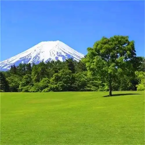 爸爸们爱用的头像 高清适合40岁以上父亲用的头像图片_微信头像_头像