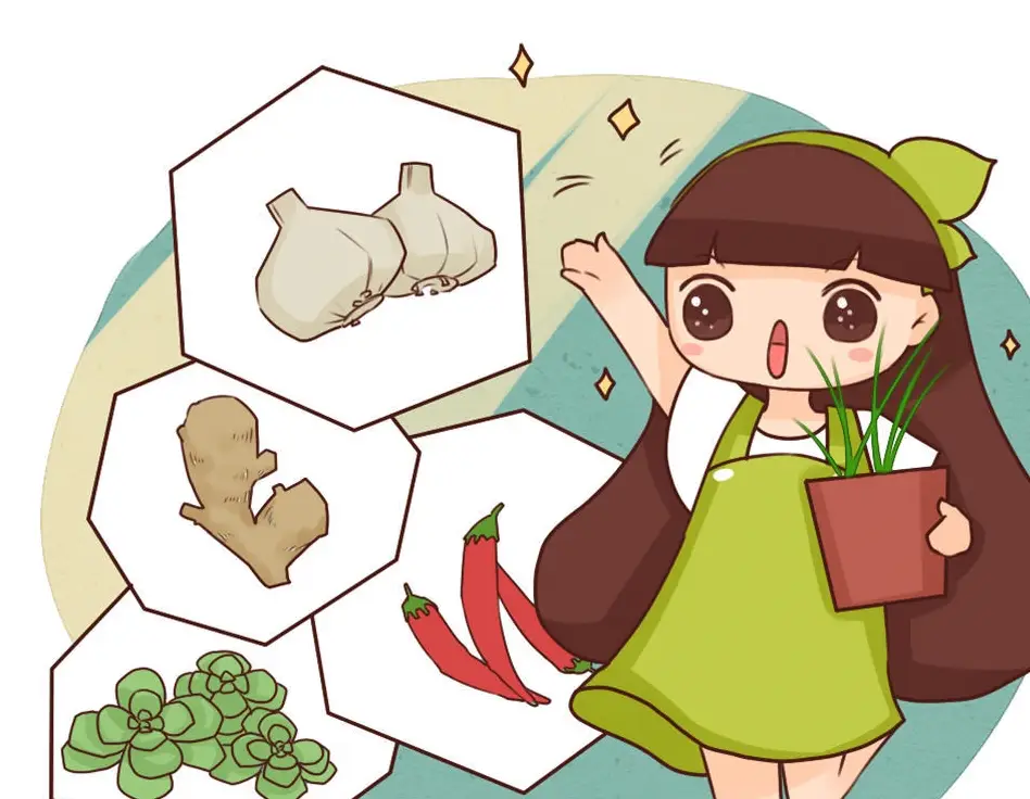 原创让生菜百吃不厌口感脆嫩不变色做法非常简单