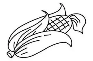 共同点1农作物玉米简笔画玉米成熟了玉米是我市主要的粮食作物之一,是