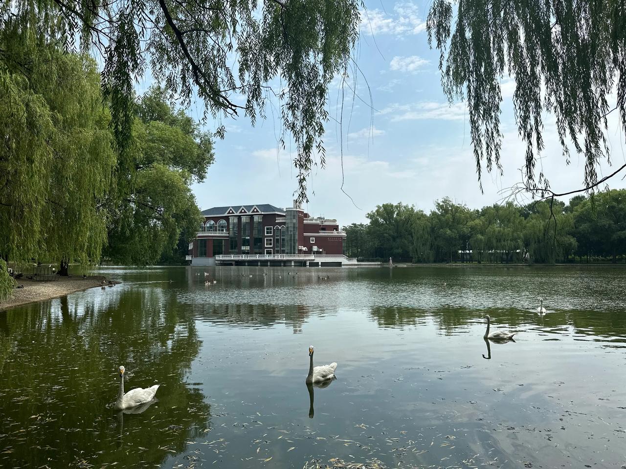 北京紫玉山庄毗邻奥运村,奥林匹克森林公园