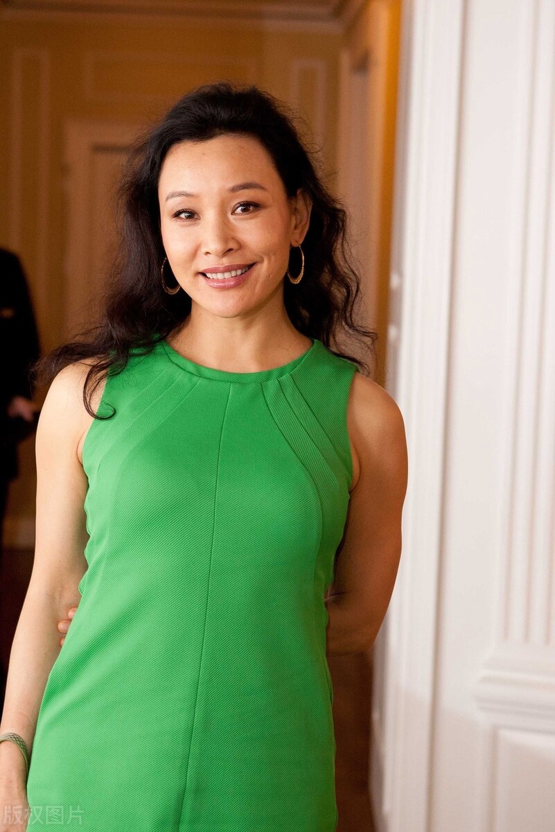 中国影星档案新时期22大影星:美籍华裔女星奥斯卡奖评委陈冲_电影_上